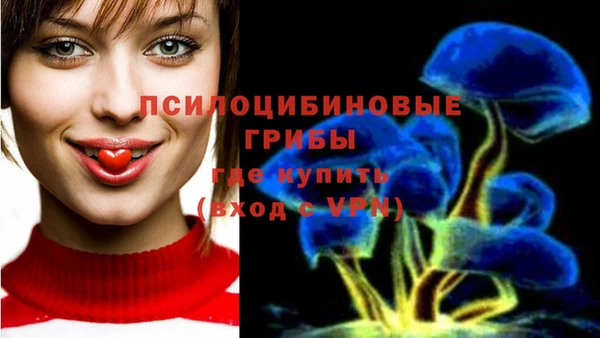 винт Дмитров