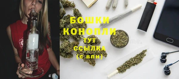 винт Дмитров