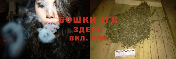 винт Дмитров