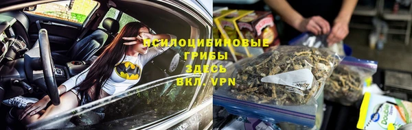 винт Дмитров