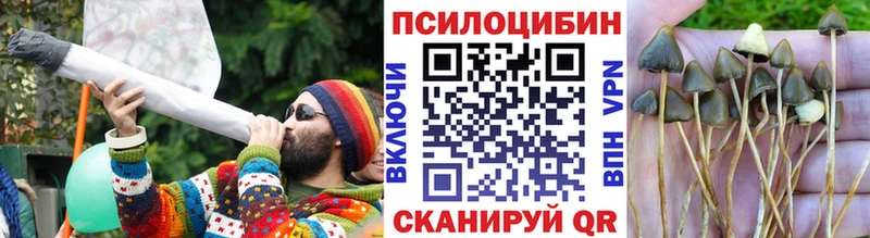 Псилоцибиновые грибы ЛСД  Видное 