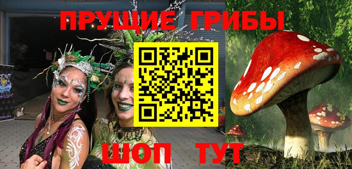 Псилоцибиновые грибы Psilocybe  Видное 