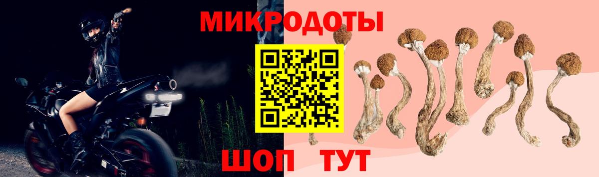 Псилоцибиновые грибы GOLDEN TEACHER  Вход с VPN  Псилоцибиновые грибы мицелий  Видное 