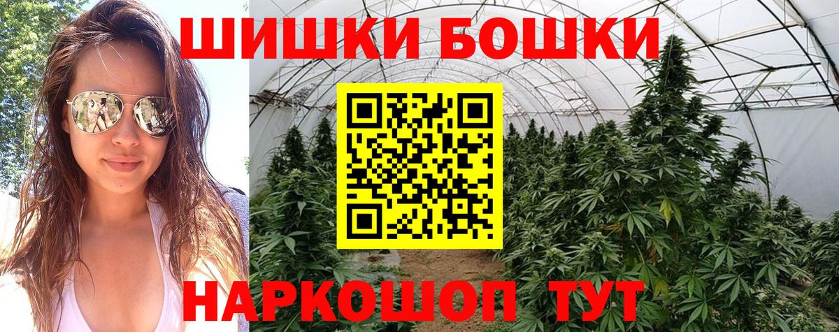 Канабис Amnesia  Видное  Канабис план  Шишки марихуана White Widow 